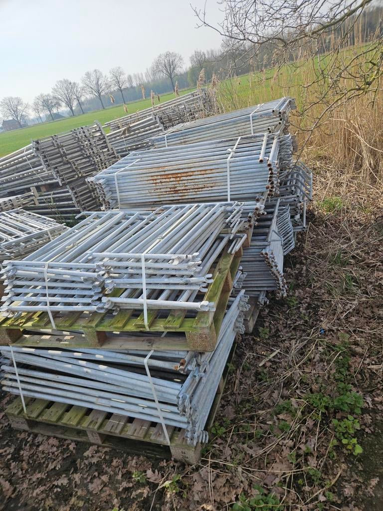 Babybox schapen hek