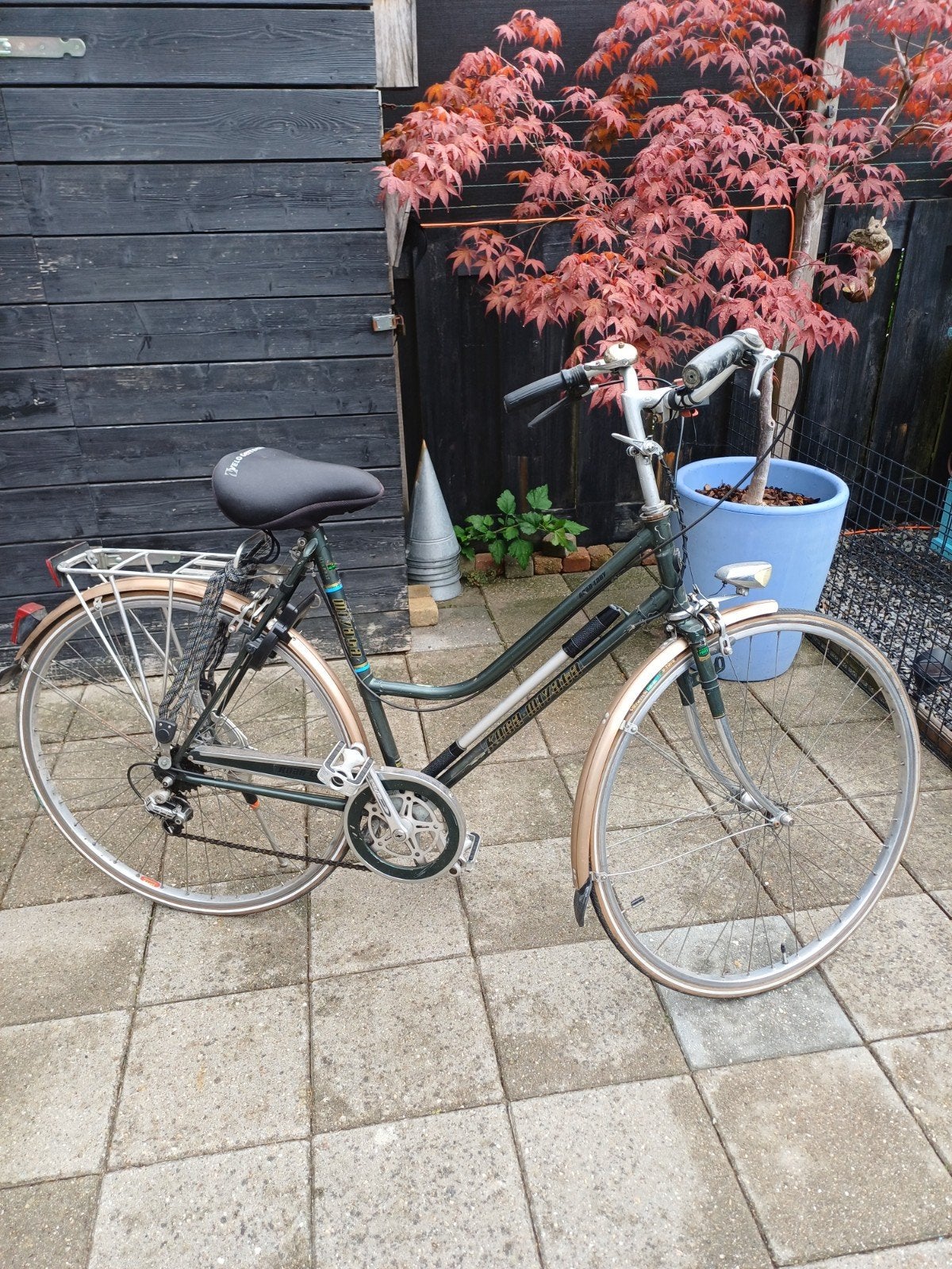 koga miyata road lady. maat 54, Velgrem, Versnellingen, Ophalen, Overige merken
