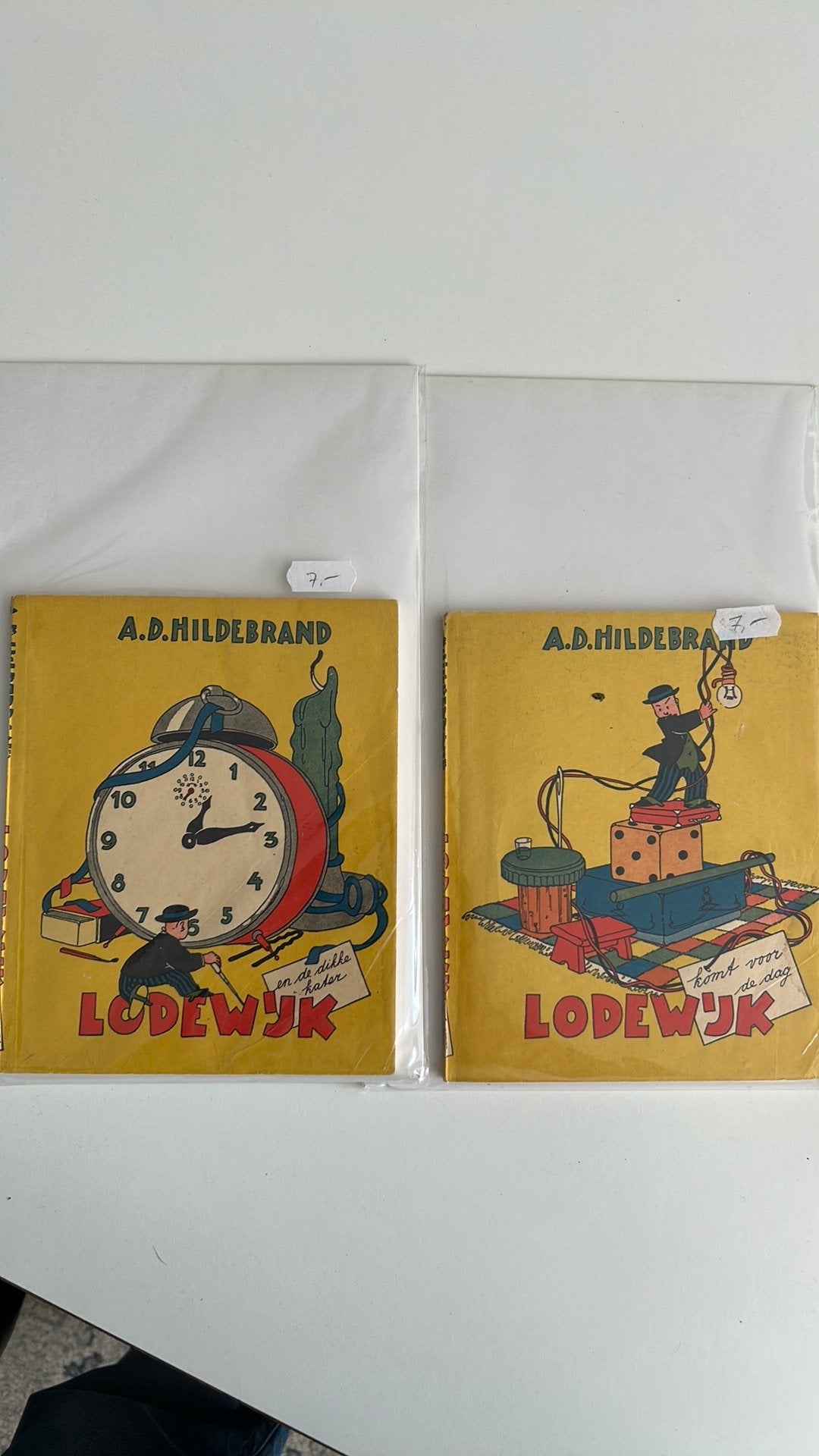 Lodewijk van a d hildebrand 2 delen, Ophalen of Verzenden, Gelezen