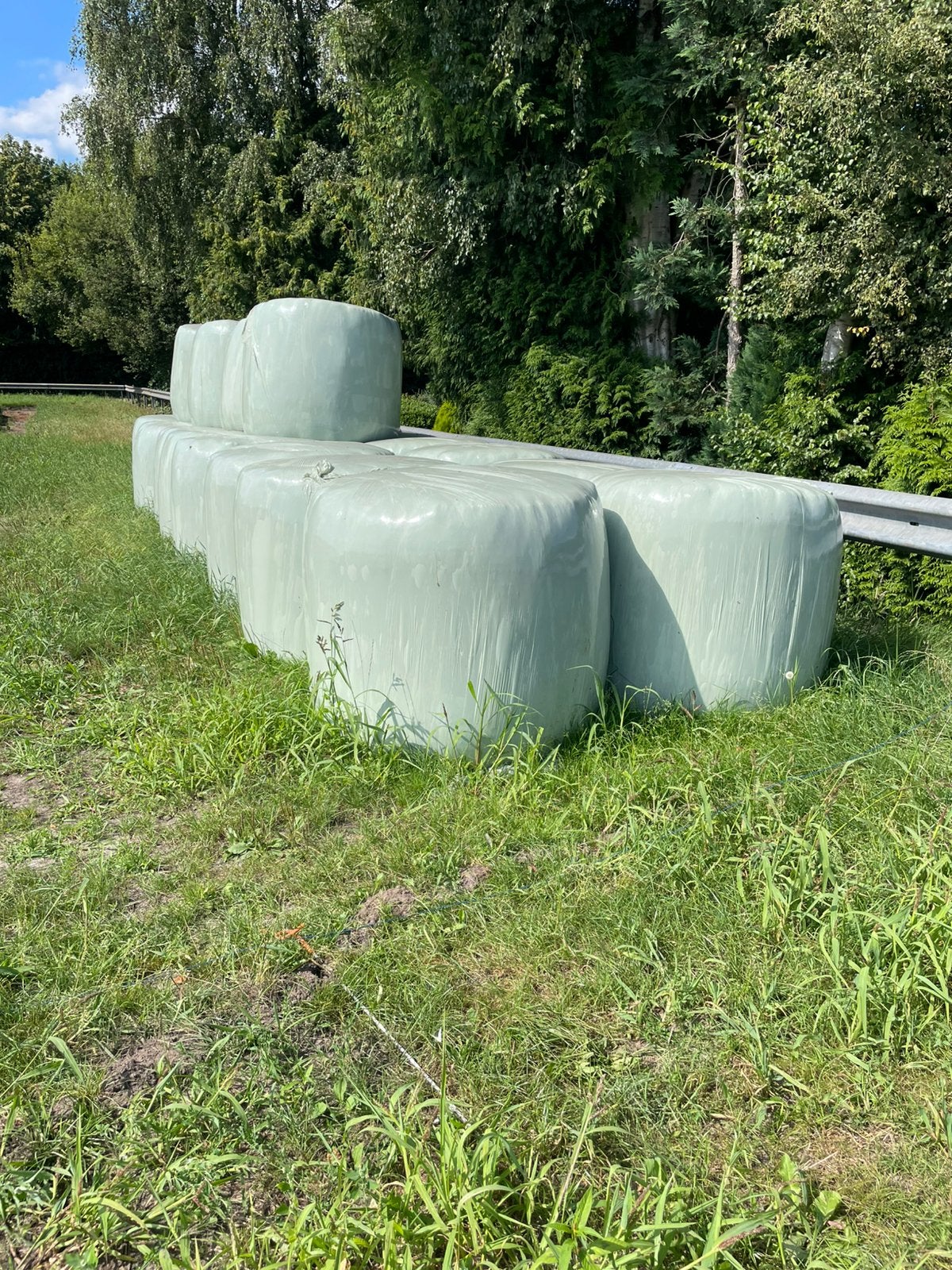 Kuil voer 2e snee 2026 grote balen, Ophalen, Vee