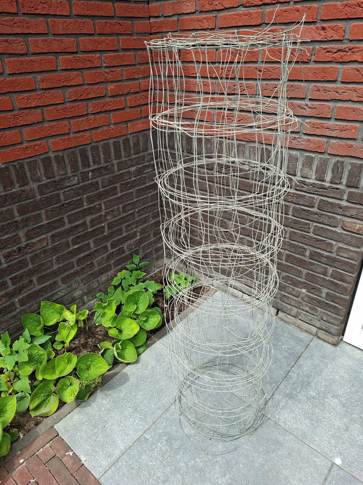 Metalen plantensteun/groeikooi voor diverse planten, Ophalen
