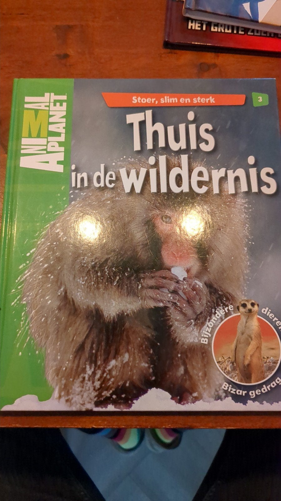 Animal Planet: Thuis in de Wildernis - Stoer, slim en sterk, Ophalen of Verzenden, Zo goed als nieuw, Overige diersoorten