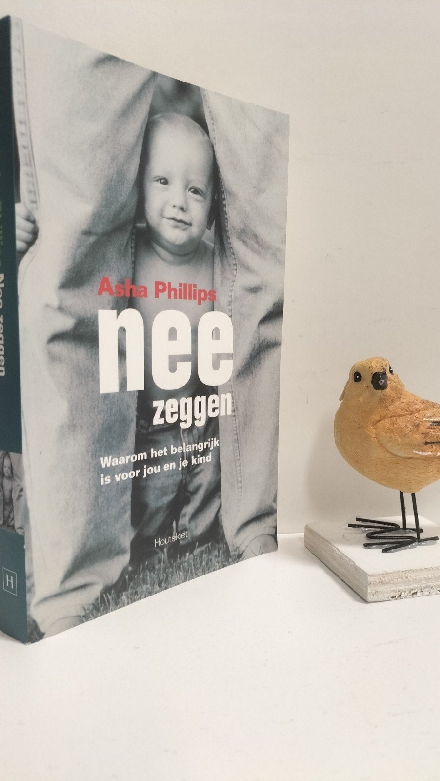 Phillips, Asha; Nee zeggen, Ophalen of Verzenden, Gelezen, Ontwikkelingspsychologie