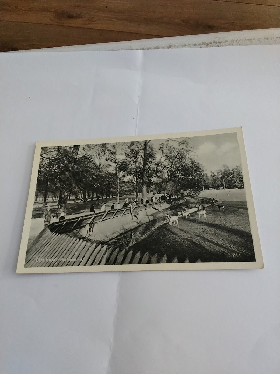 Oude Ansichtkaart: Hertenkamp, DEN HAAG, Ophalen of Verzenden, Voor 1920, Ongelopen, Gelderland