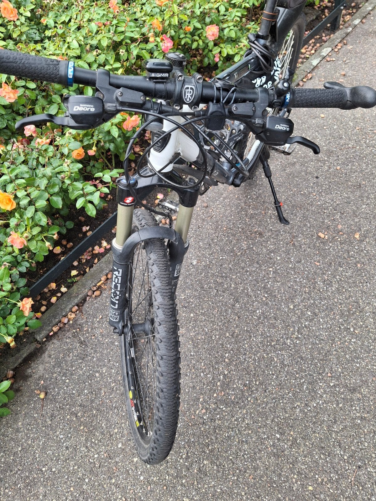 koga miyata mountain bike, Ophalen, Gebruikt, 26 inch of meer