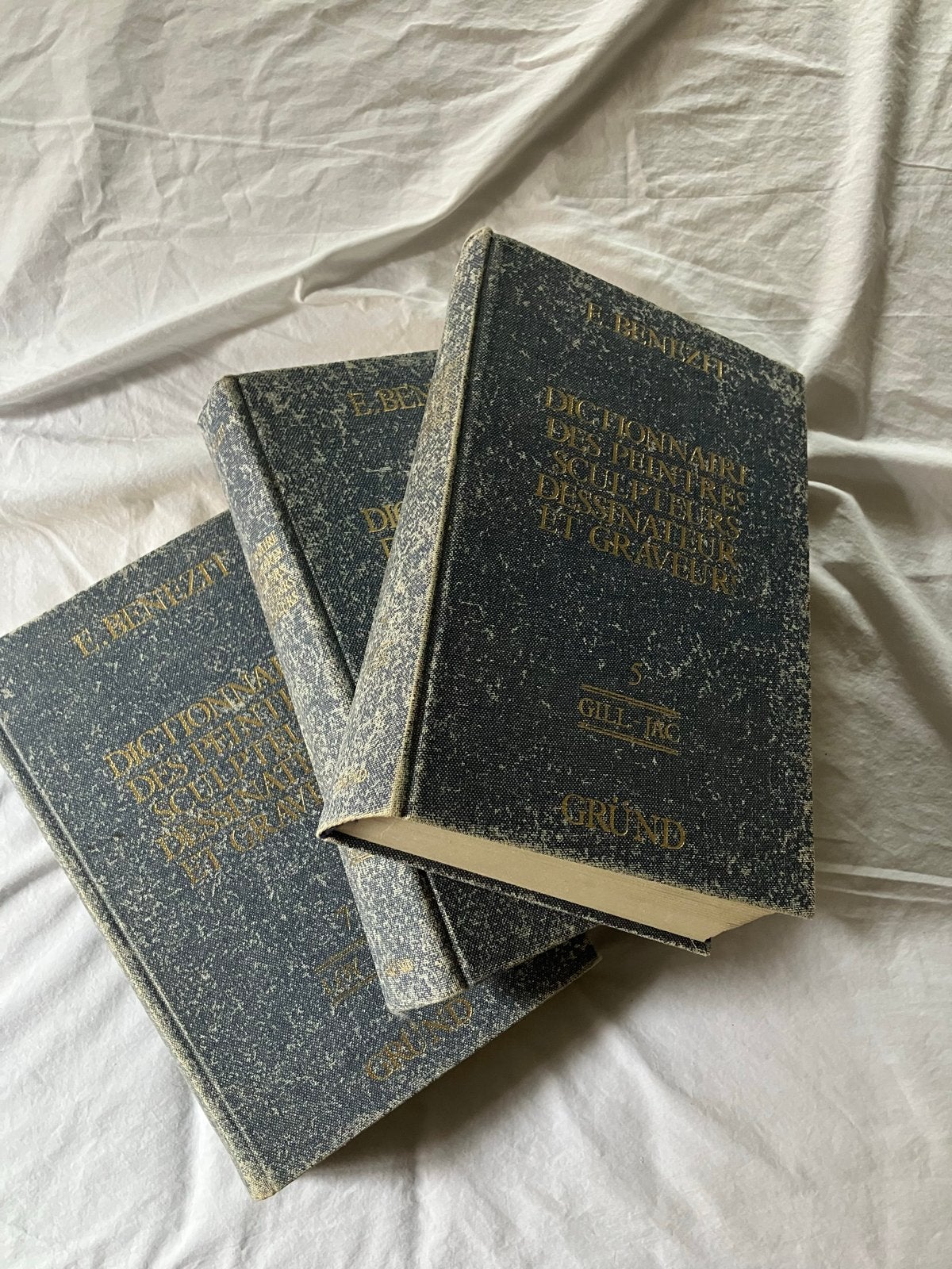 10-delige Benezit Schilderslexicon - Dictionnaire des Peintr, Boeken, Ophalen, Gelezen, Overige onderwerpen