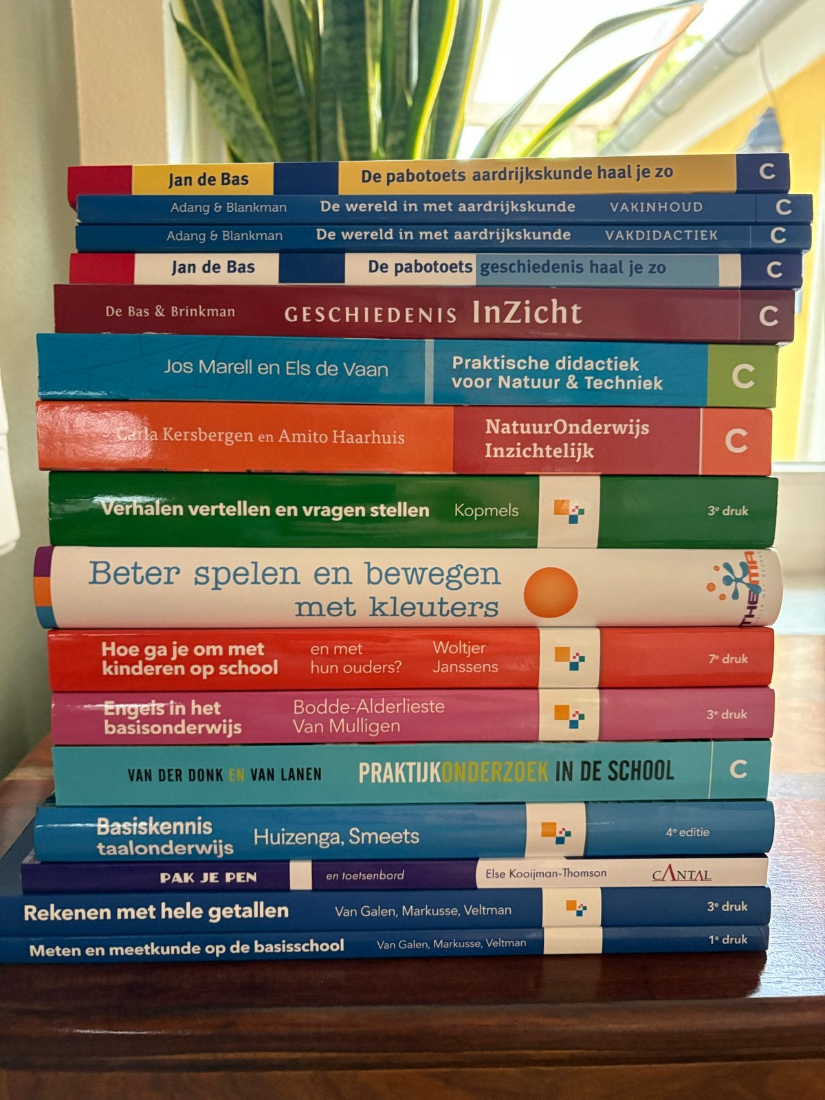 Pabo boeken leerjaar 1 t/m 4 (meeste nieuw), Boeken, Ophalen, Nieuw, Overige niveaus, Overige vakken