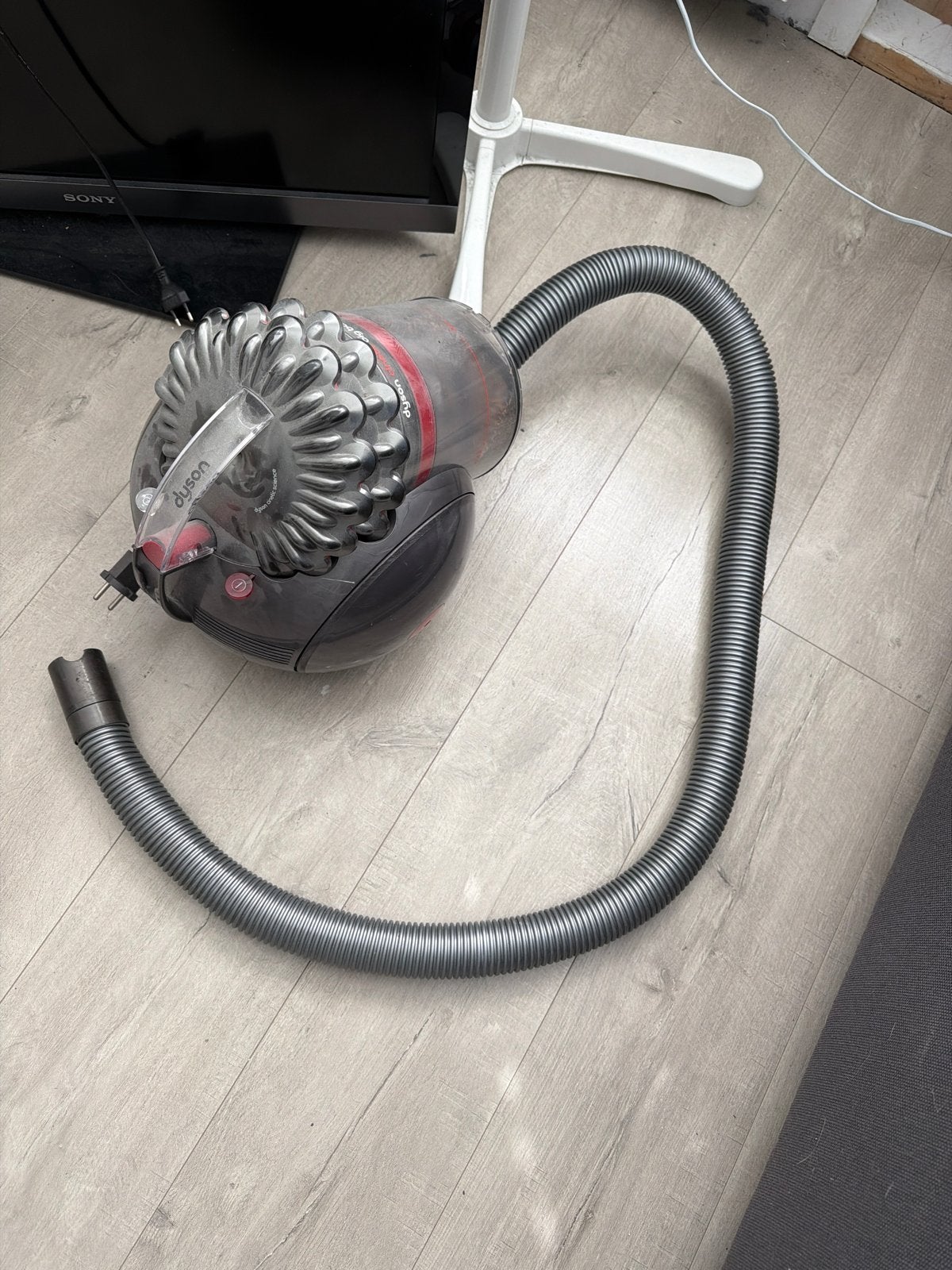 Dyson Big Ball Absolute stofzuiger