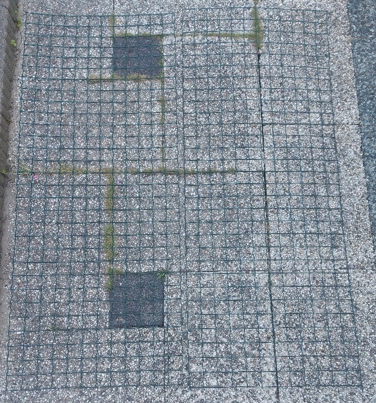 2x Gaaspaneel 1.50 x 0.60 cm, donkergroen, Tuin en Terras, Gaas en Draad, Ophalen, Gebruikt, Minder dan 10 meter, Raster