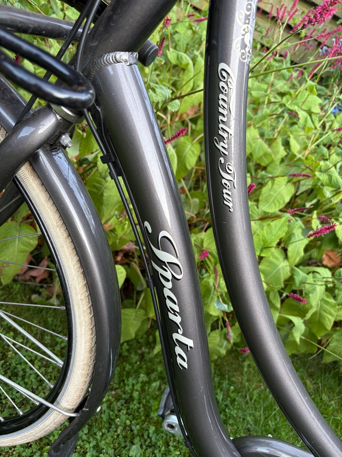 Sparta Country Tour Damesfiets - 7 Versnellingen, Ophalen, Sparta, 53 tot 56 cm, Versnellingen