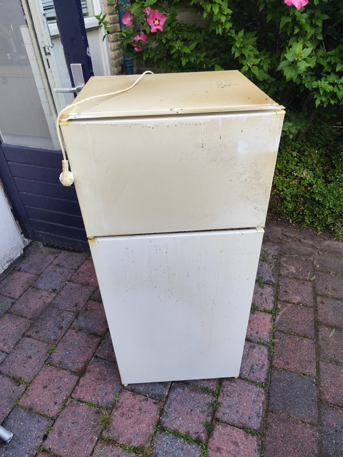 Gratis Koelkast met vriezer, Ophalen, Gebruikt