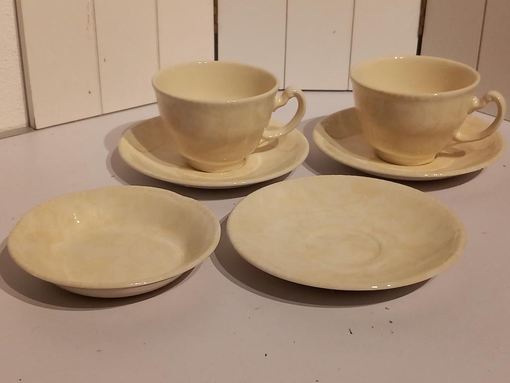 Wood and Sons Servies gele plant opdruk., Gebruikt, Ophalen of Verzenden, Overige stijlen, Kop(pen) en/of Schotel(s)
