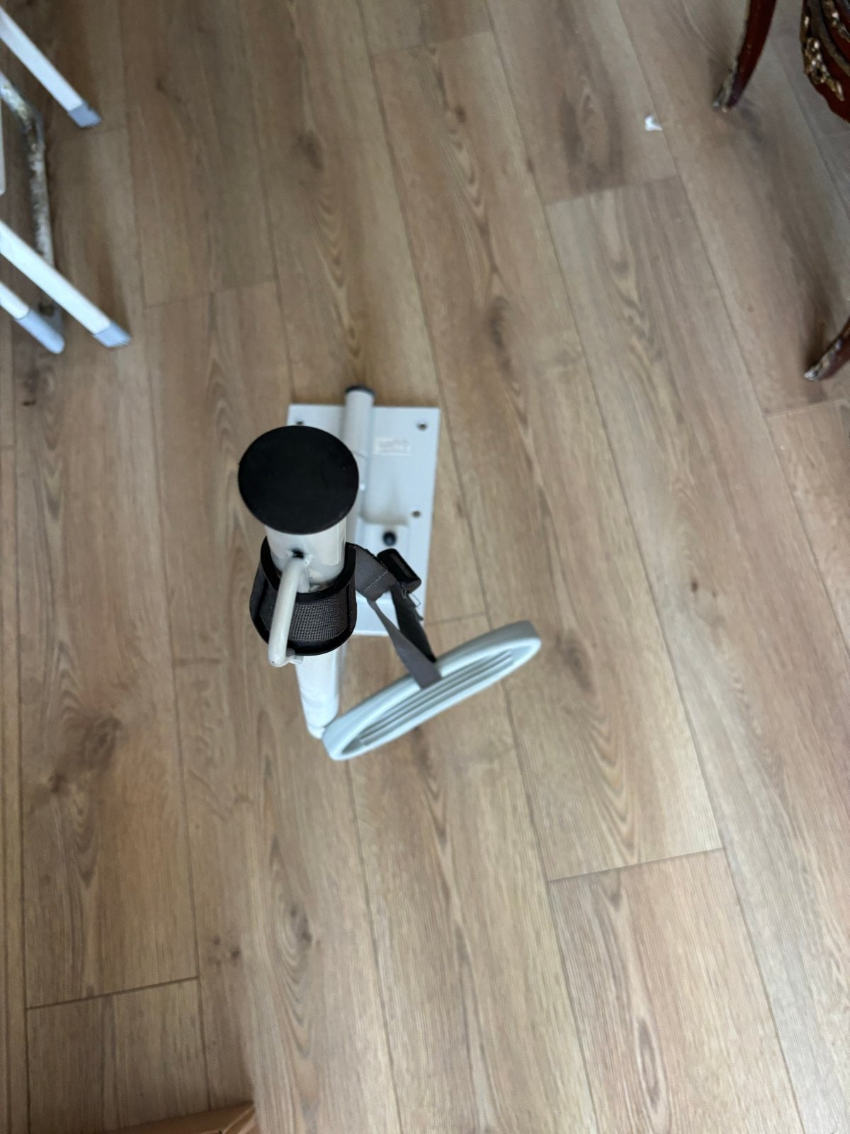 Bedpapegaai, Ophalen
