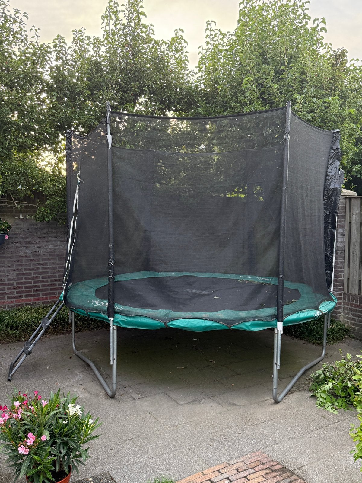 Trampoline Salta inclusief vangnet, trappetje en hoes, Ophalen, Gebruikt
