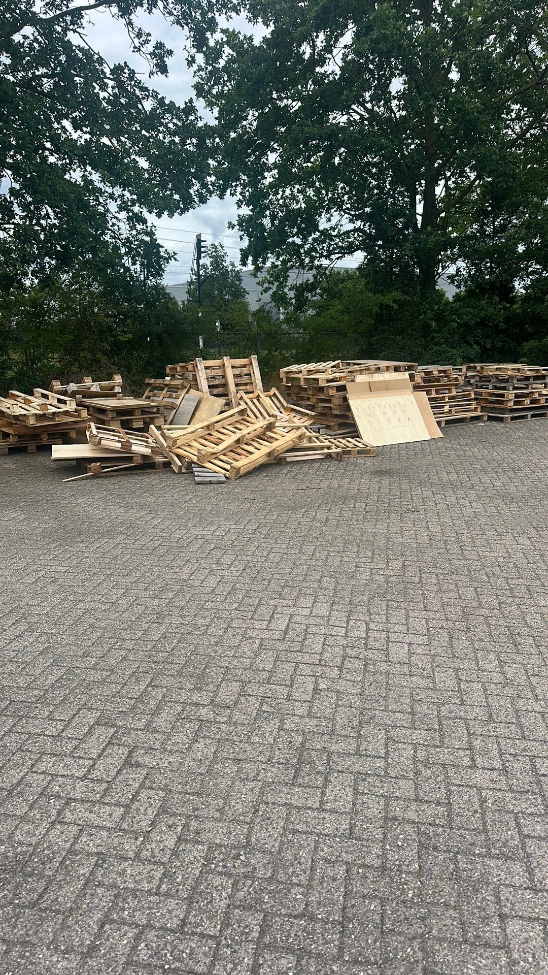 Gratis pallets, Doe-het-zelf en Verbouw, Hout en Planken, Ophalen, Gebruikt, 50 mm of meer, Pallet