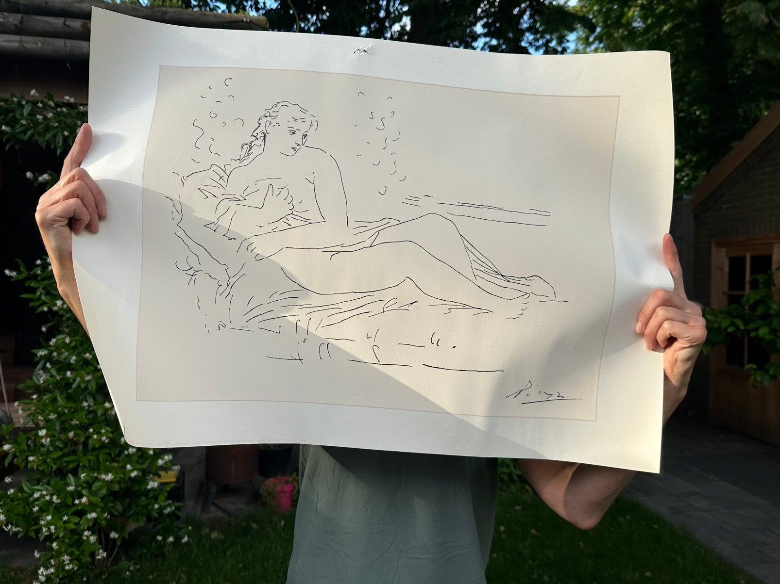 Neppe Picasso poster, Ophalen, Gebruikt, Overige typen