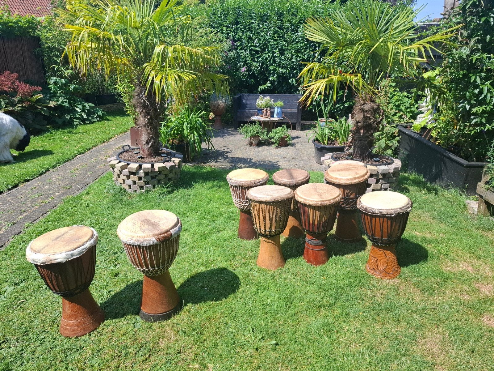 Set van 9 Djembe Trommels - Diverse Maten, Ophalen, Gebruikt, Trommel