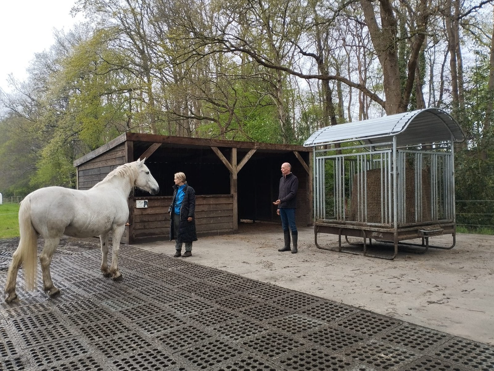 Superfijn plekje in Glimmen beschikbaar voor paard of pony