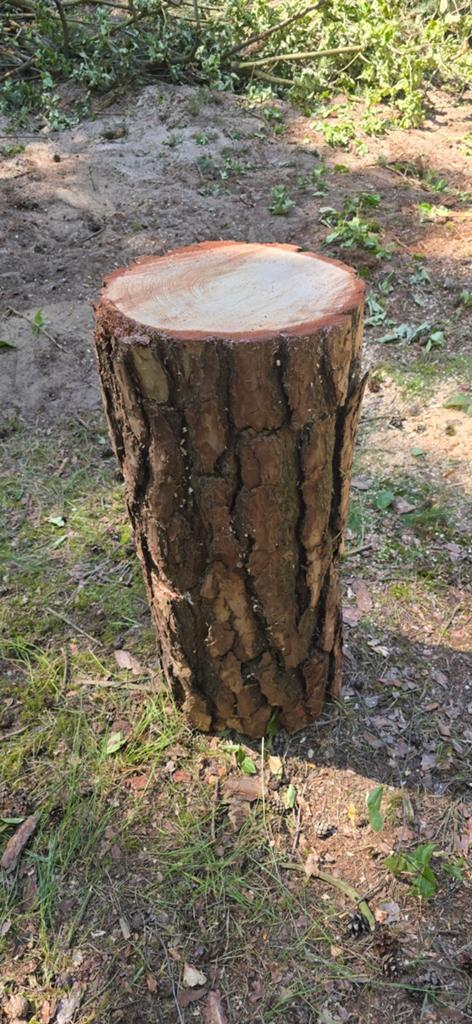 Boomstam voor hamertje tik / kopspijkere / spijkerspel 84 cm, Doe-het-zelf en Verbouw, Hout en Planken, Ophalen, Plank, 50 mm of meer
