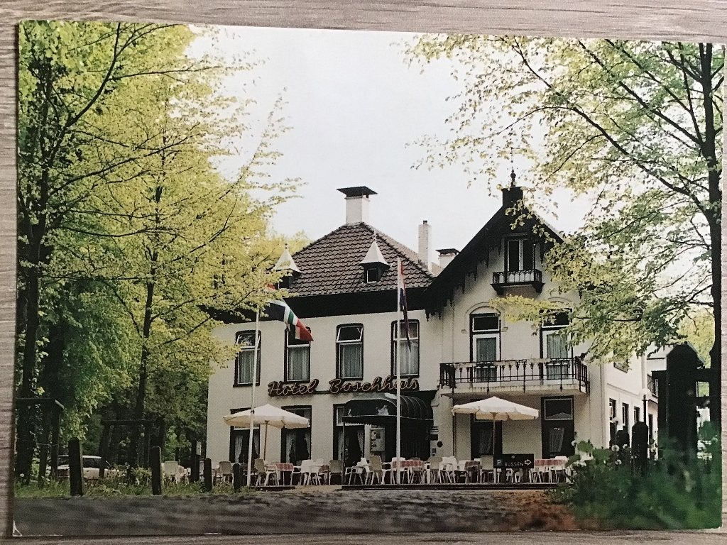 Ansichtkaart Hotel Boschhuis Ter Apel (Gelopen) 1994, Verzamelen, Ophalen of Verzenden, 1980 tot heden, Gelopen, Groningen
