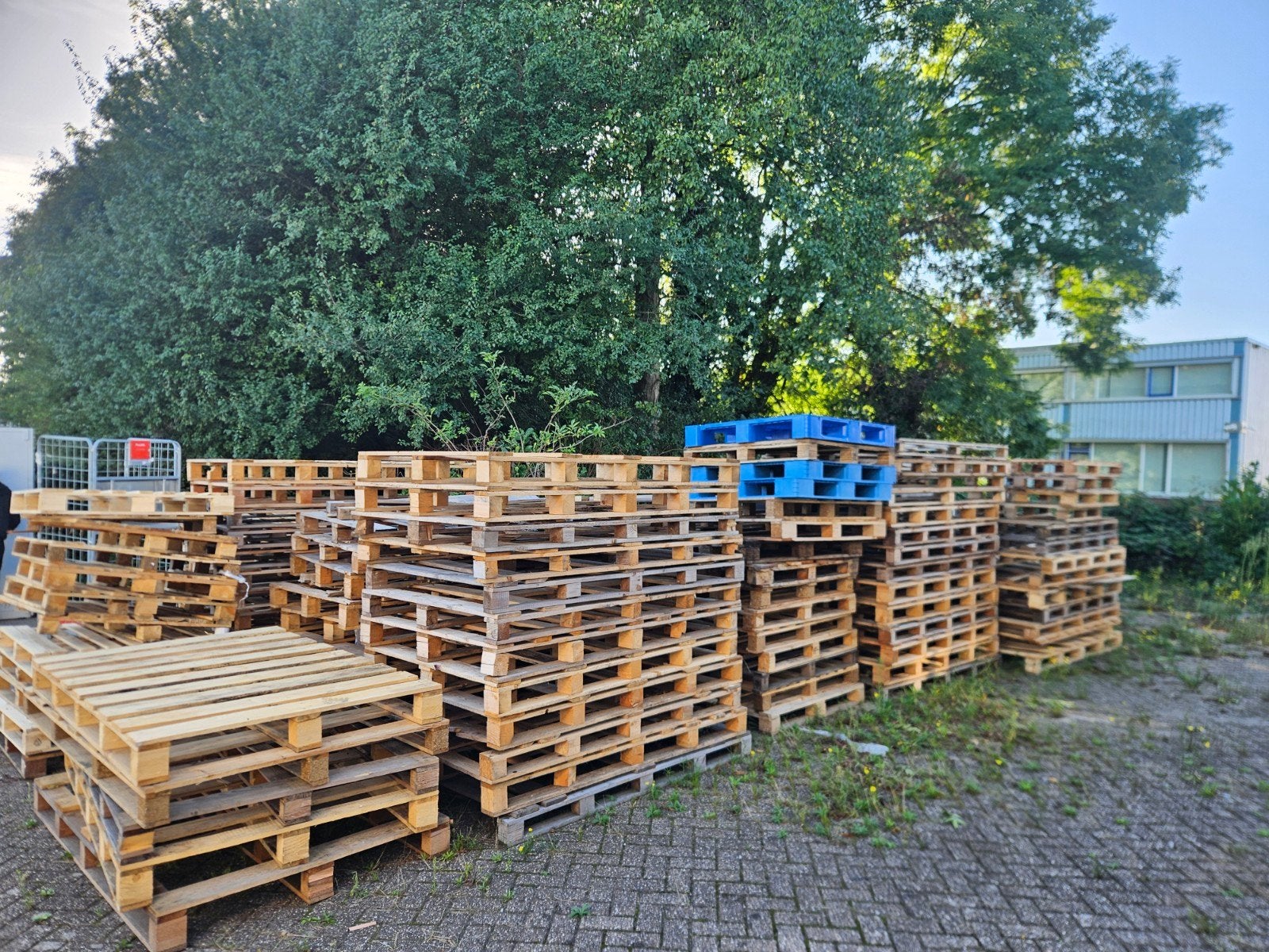 Gratis Pallets - Diverse Maten en Soorten, Tuin en Terras, Ophalen of Verzenden