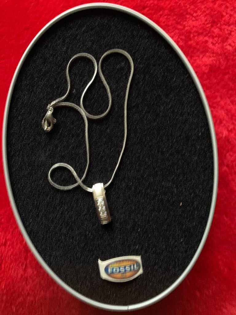 fossil hanger, Overige materialen, Nieuw, Ophalen of Verzenden, Zilver