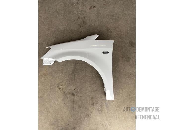 Scherm links-voor van een Volkswagen Caddy (LB9A), -, Volkswagen, -, Nieuw