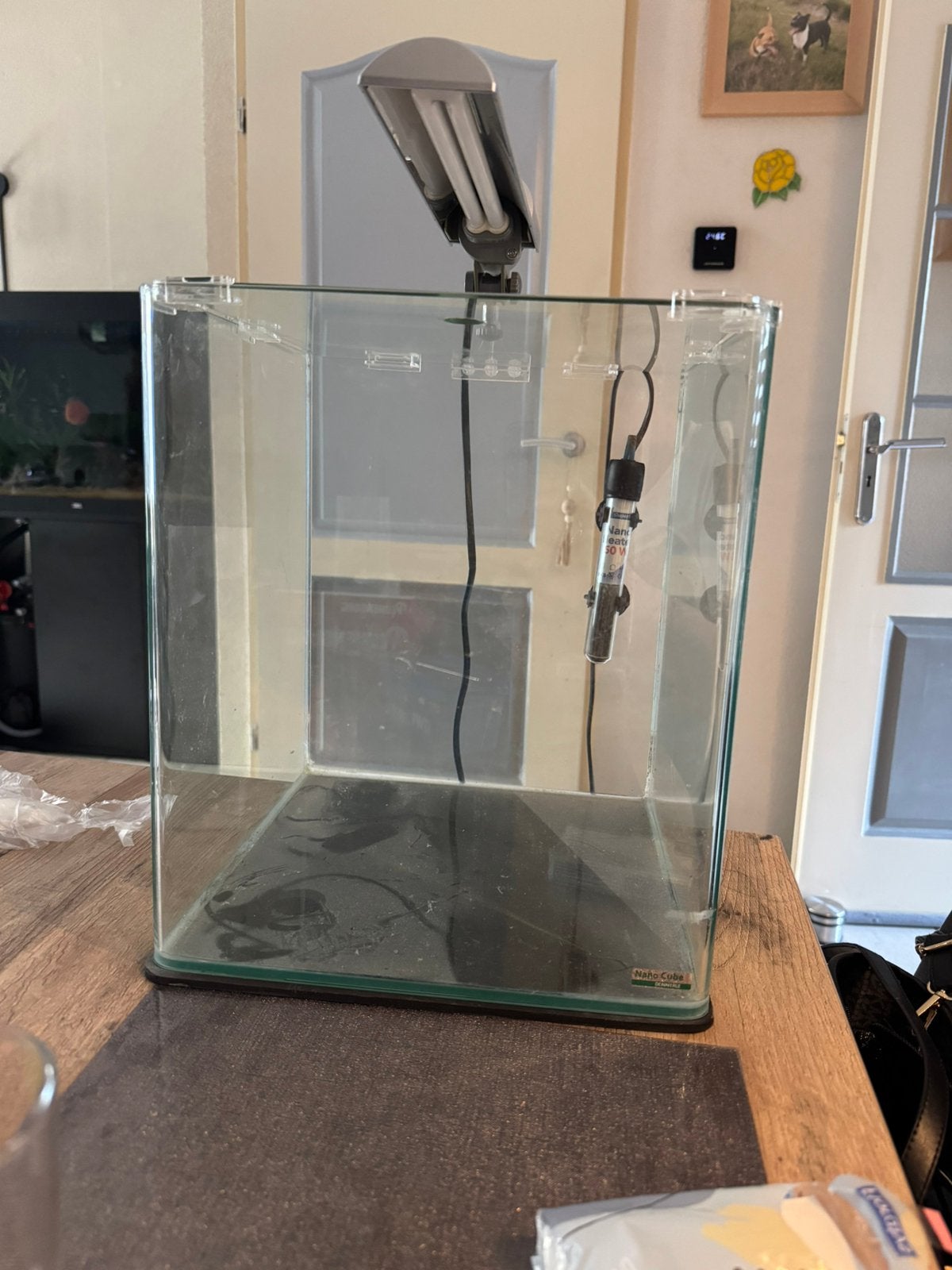 Nano cube dennerle, Vis