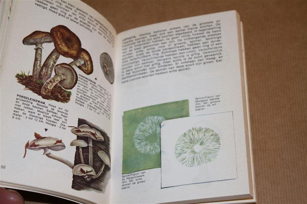 Natuurgids voor de niet-bloeiende planten. Varens..., Ophalen of Verzenden, Gelezen, Bloemen, Planten en Bomen