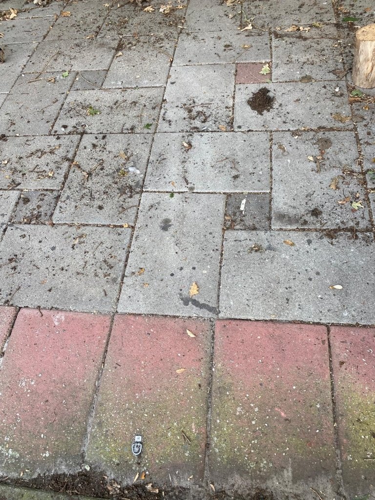 Gratis af te halen tegels 30x60, Ophalen, Gebruikt, 5 tot 10 m², 20 tot 40 cm