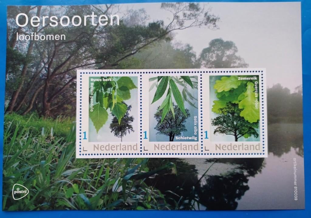 V3642P Oersoorten, Loofbomen - 2023, Verzenden, Na 1940, Postfris