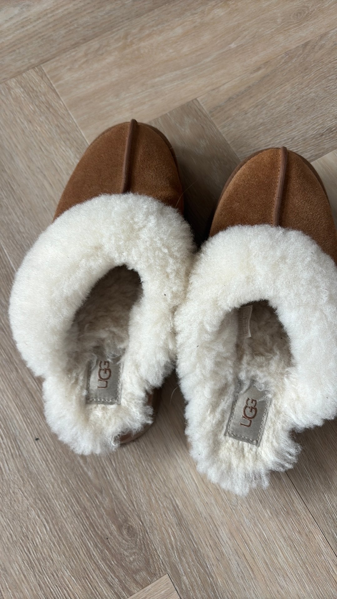 Sloffen uggs maat 39, Kleding | Dames, Ophalen of Verzenden, Zo goed als nieuw