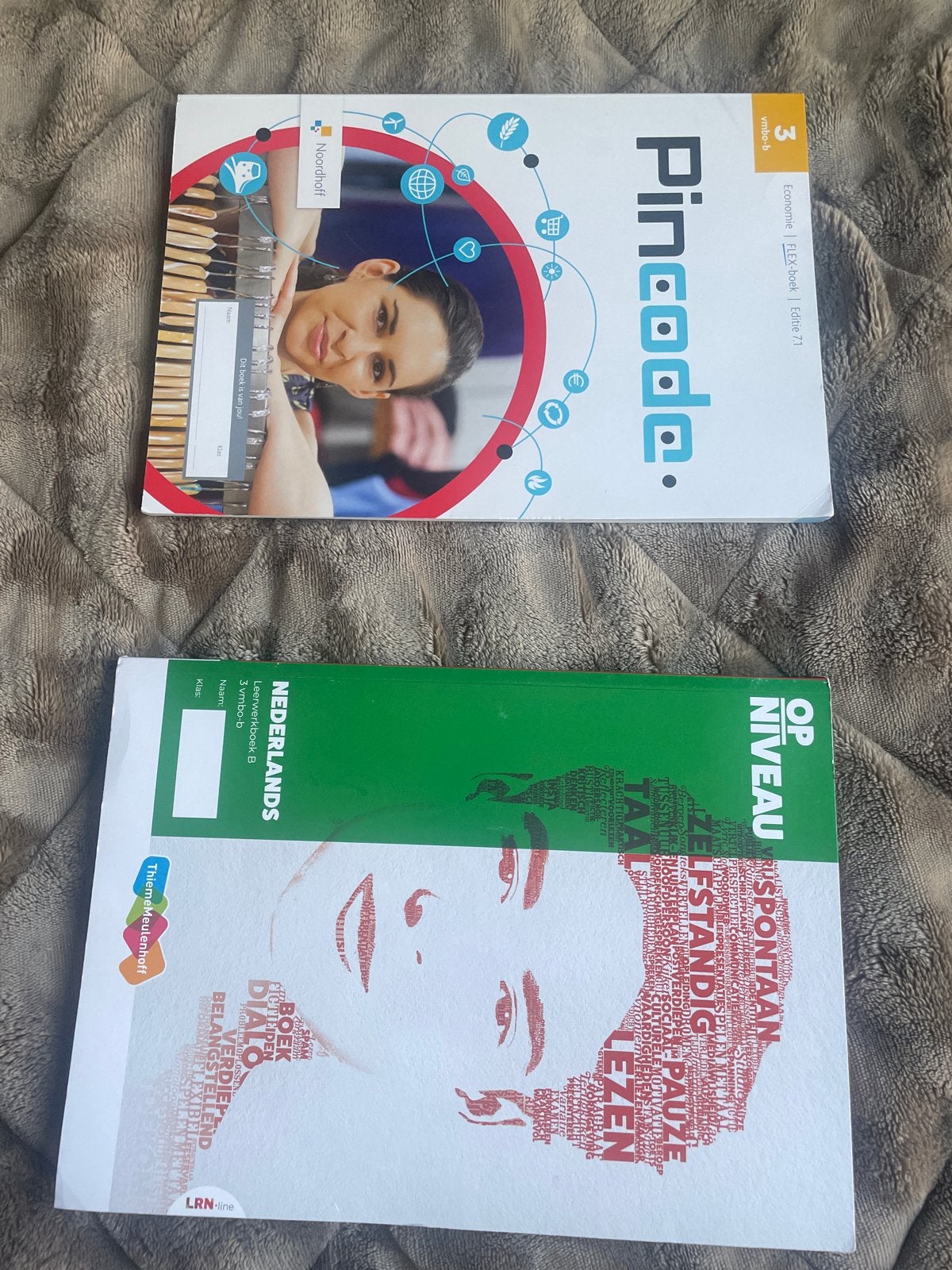 Schoolboeken: Pincode Economie en Op Niveau Nederlands, Ophalen of Verzenden, Gelezen, Overige niveaus, Economie