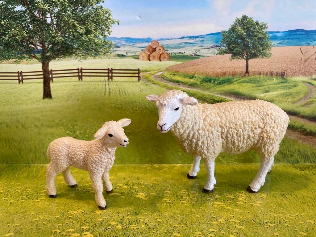 Schleich schaap en lam, Ophalen of Verzenden, Zo goed als nieuw, Paard, Beeldje of Figuurtje