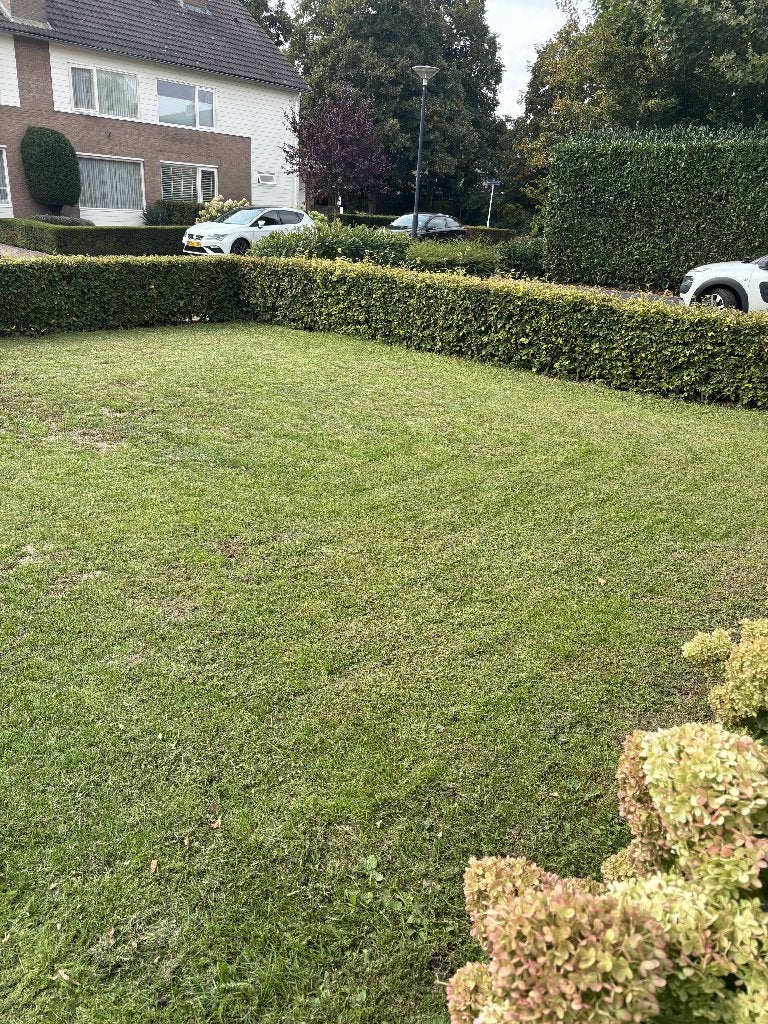 GRATIS graszoden circa 30 m2, Ophalen of Verzenden, Nieuw, 20 m² of meer