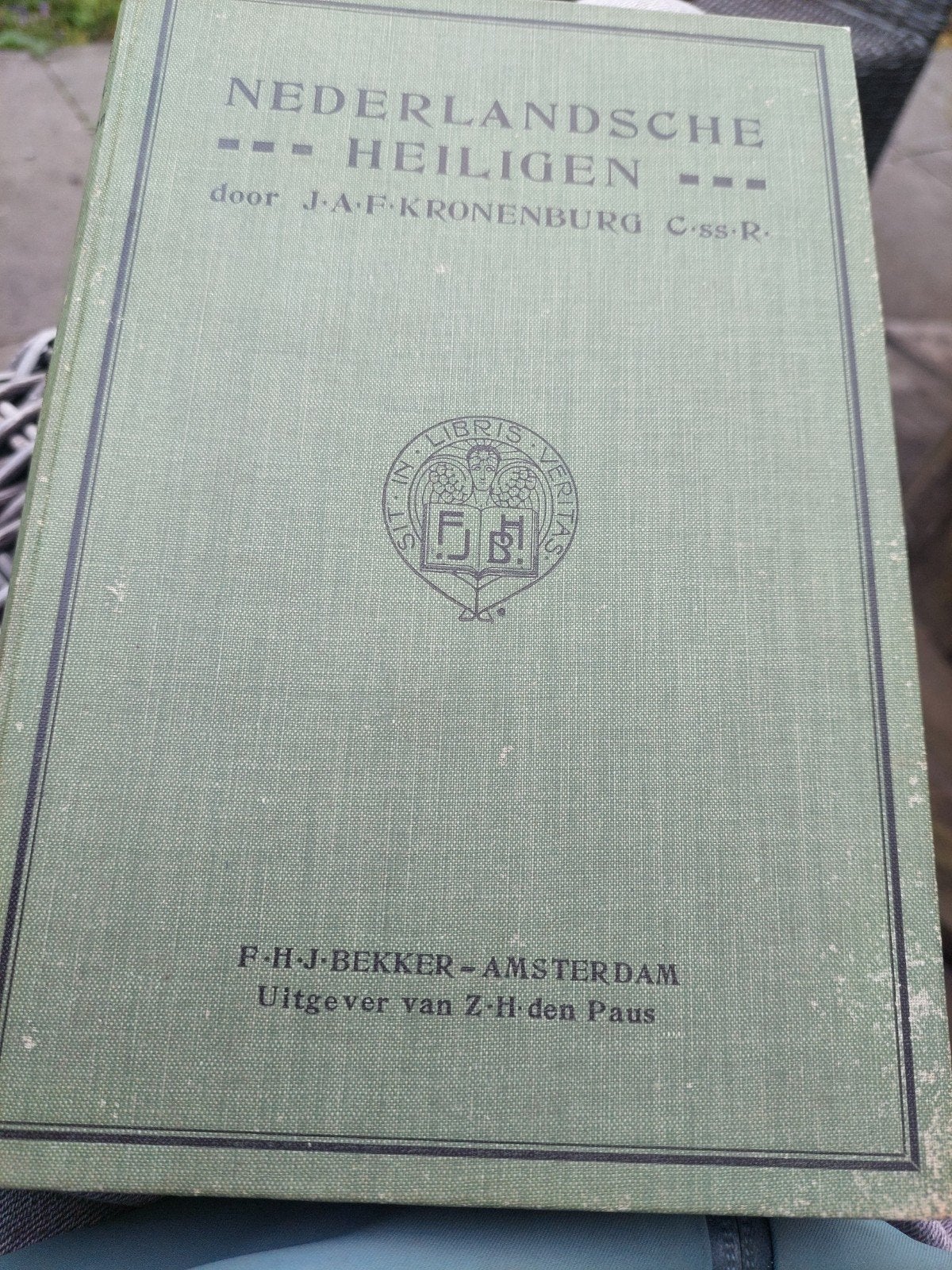 Nederlandsche heiligen  uit 1911, Ophalen of Verzenden, Gelezen
