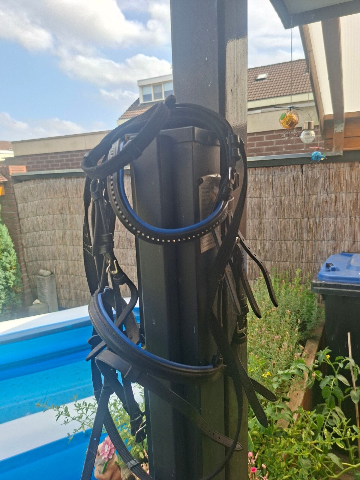 mini shet hoofdstel met teugels, Ophalen of Verzenden, Nieuw