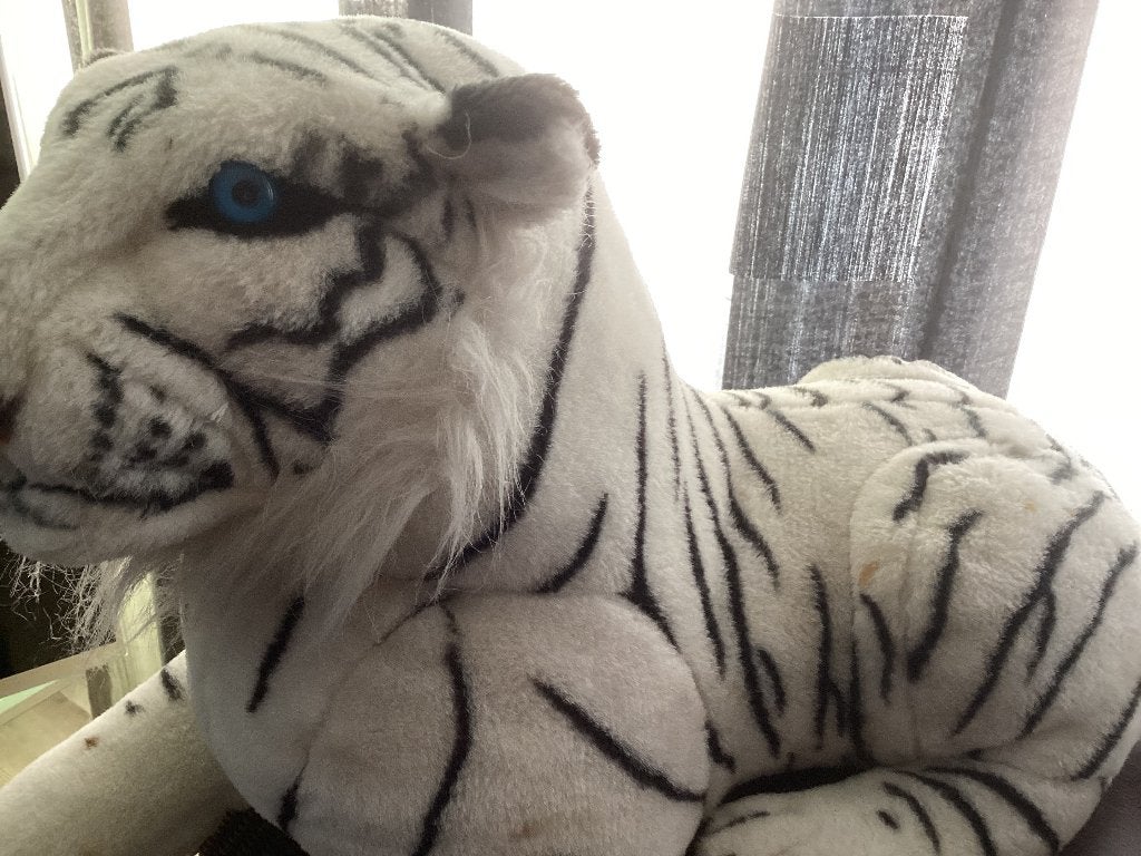 Een witte tijger groot, Ophalen, Gebruikt, Overige merken, Overige karakters
