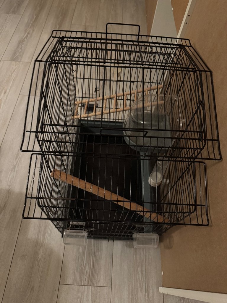 Vogelkooi, Ophalen, Zo goed als nieuw, Metaal, Vogelkooi