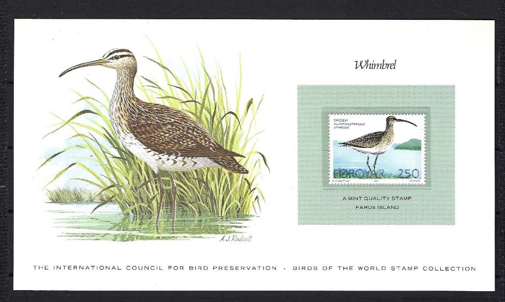VOGELS kaart Foroyar Whimbrel (zegel XX), Postzegels en Munten, Ophalen of Verzenden, Postfris, Dier of Natuur