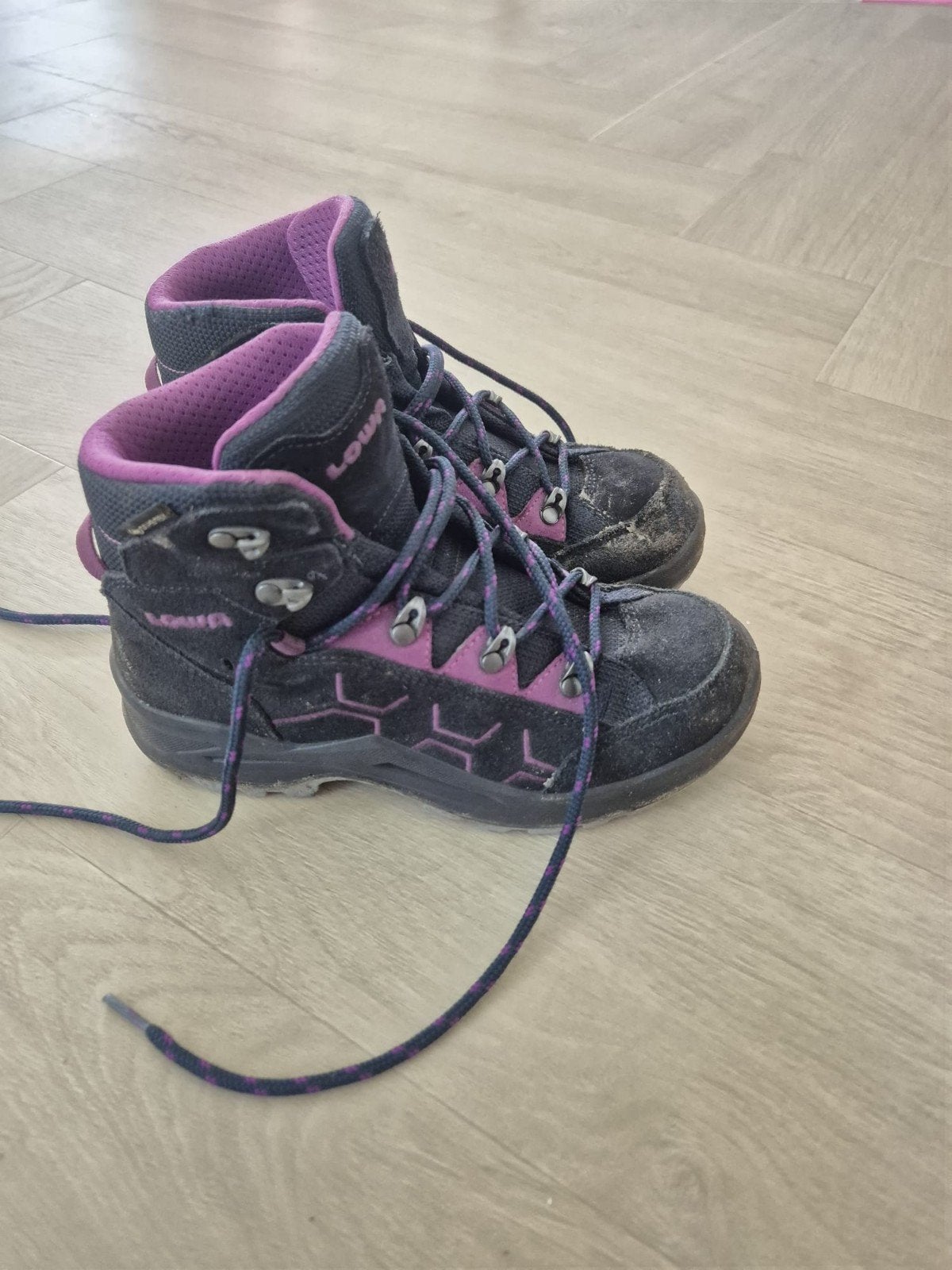 Lowa lody evo wandelschoenen, Ophalen of Verzenden, Zo goed als nieuw, Schoenen
