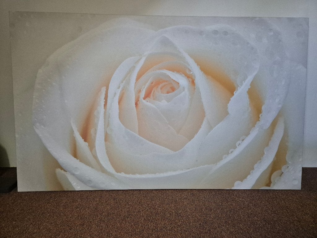 Canvas doek witte roos, Ophalen, Zo goed als nieuw, 125 cm of meer, Schilderij
