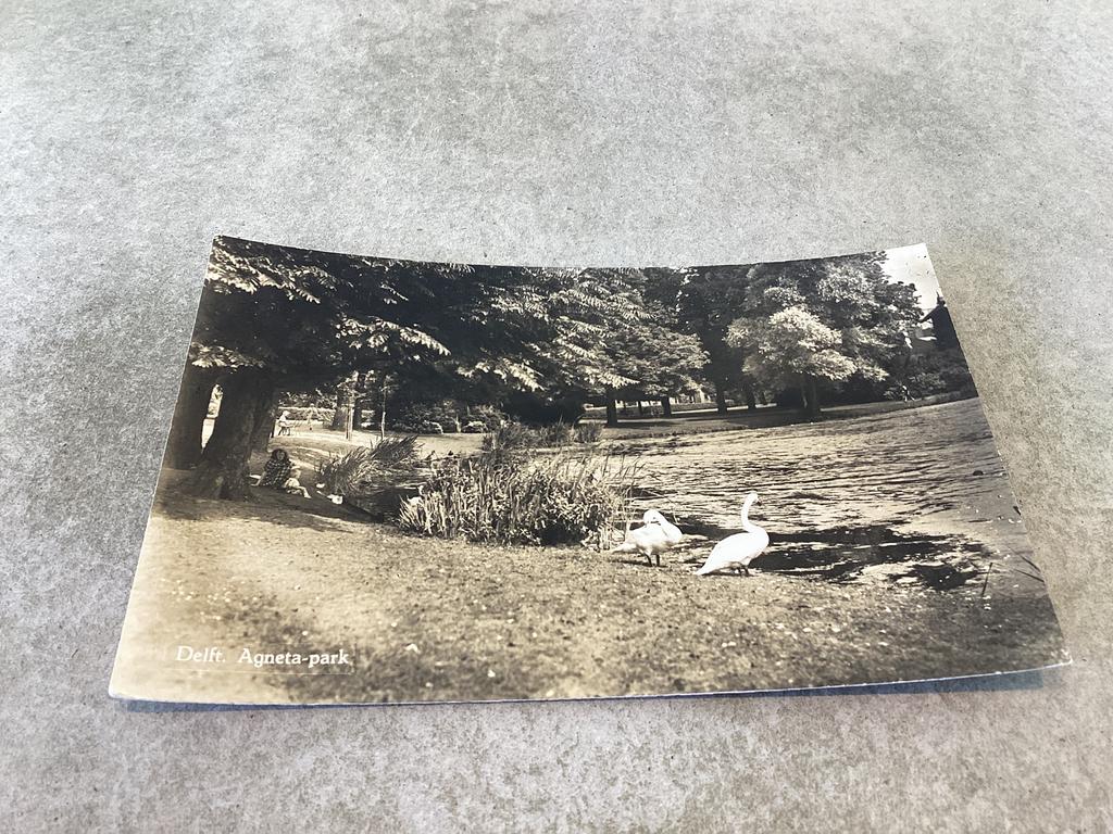 Delft.      Agneta-Park met zwanen, Ophalen of Verzenden