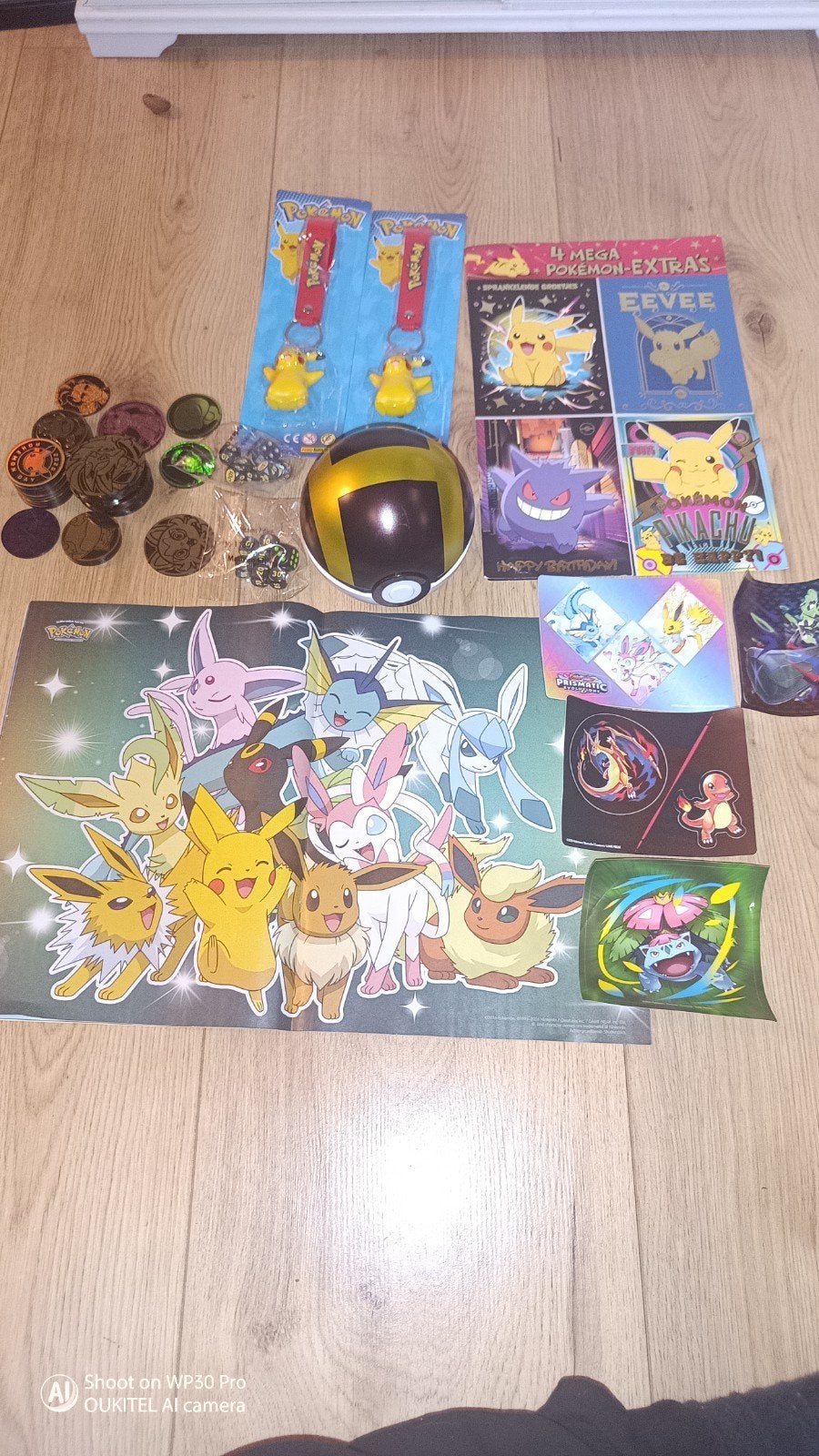 Grote Pokémon TCG Bulk Collectie – ±3000 Kaarten + Extra’s (m2442444067 ...