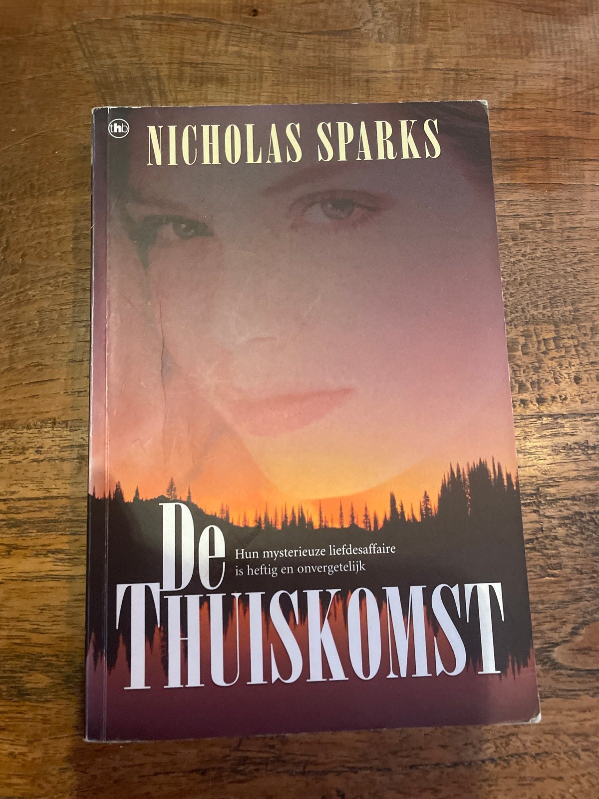 Nicholas Sparks - De Thuiskomst (Roman), Ophalen of Verzenden, Zo goed als nieuw, Nederland