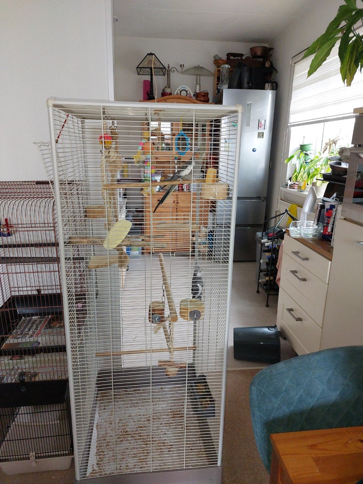 groote vogelkooi, Dieren en Toebehoren, Ophalen, Gebruikt, Overige materialen, Vogelkooi