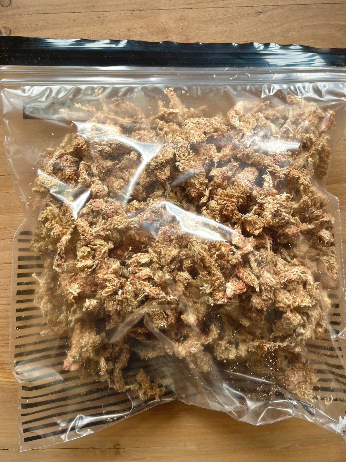 Sphagnum Mos - Terrarium Materiaal, Ophalen of Verzenden, Nieuw