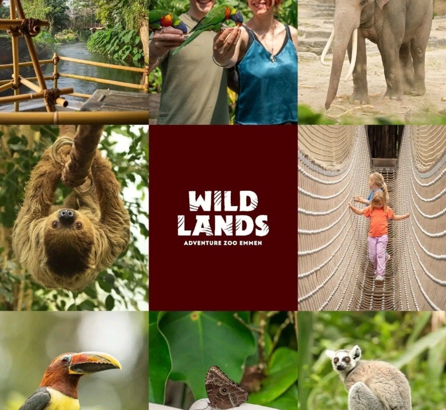 1x Wildlands Adventure Zoo Emmen ticket, geldig t/m 30/11, Tickets en Kaartjes, Recreatie | Dierentuinen, Eén persoon, Ticket of Toegangskaart