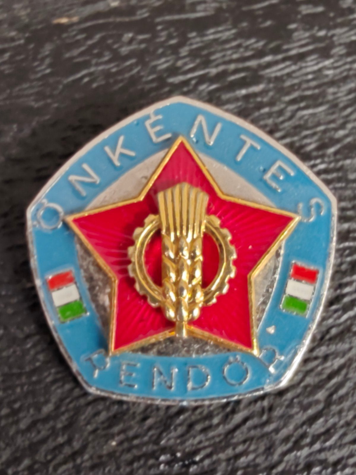 HUNGARY HUNGARIAN VOLUNTEER CORPS WORKER POLICE SECRET SERVI, Verzenden, Landmacht, Amerika, Embleem of Badge
