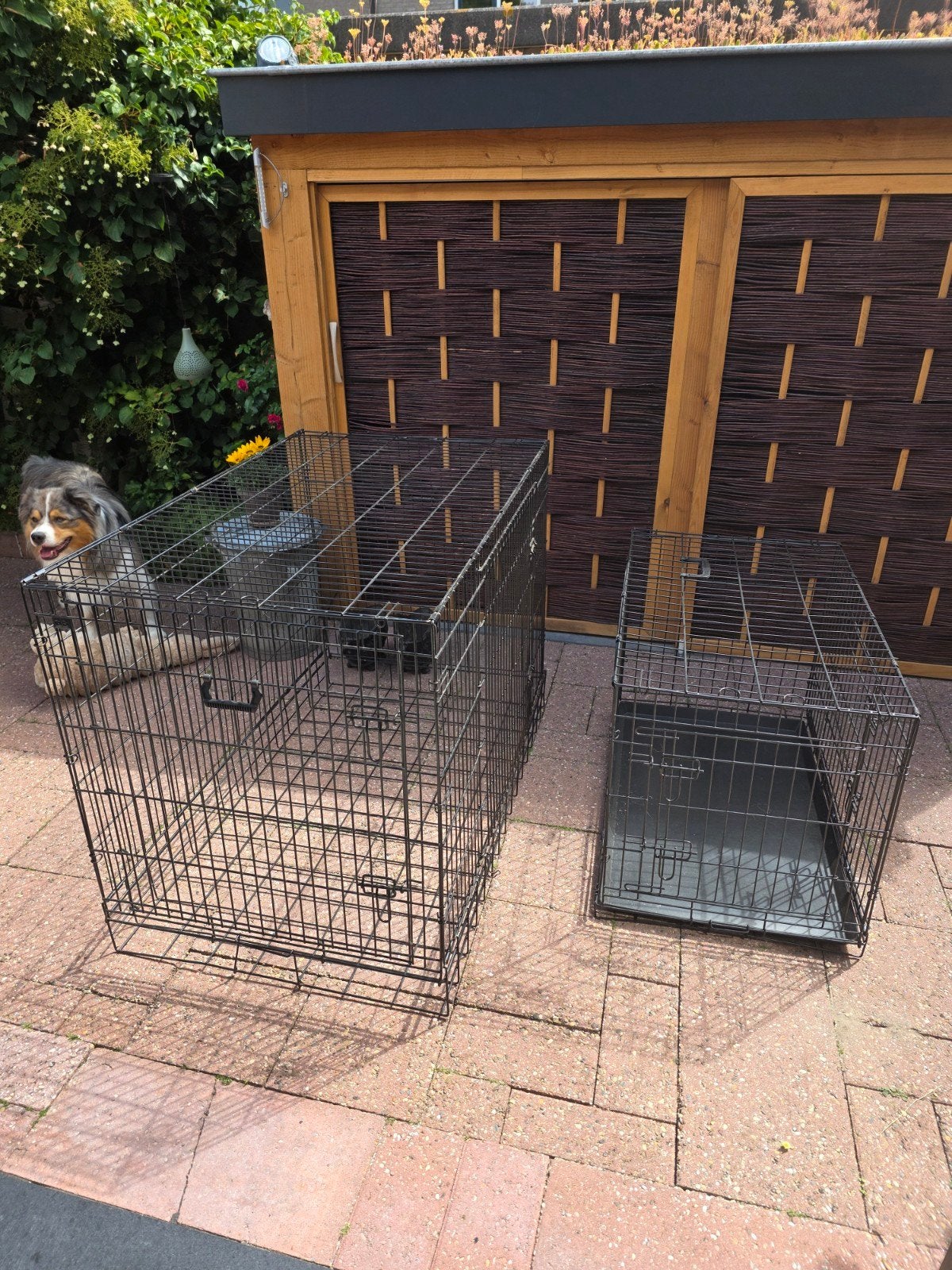Honden bench, Ophalen, Zo goed als nieuw